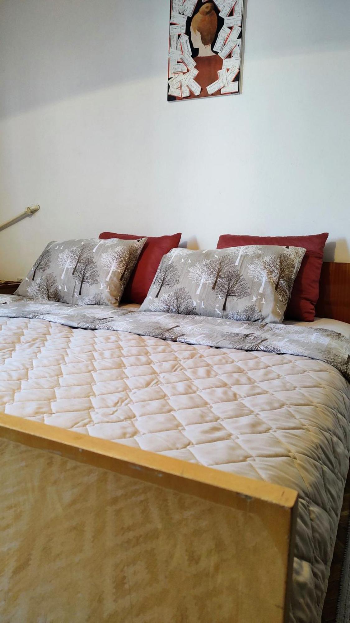 Digital Nomad Comfy Apartment,Foot Mountain Vodno And Millennium Cross,19 Min By Walk To Cener,Free Parking Skopje Exterior foto